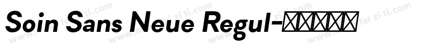 Soin Sans Neue Regul字体转换